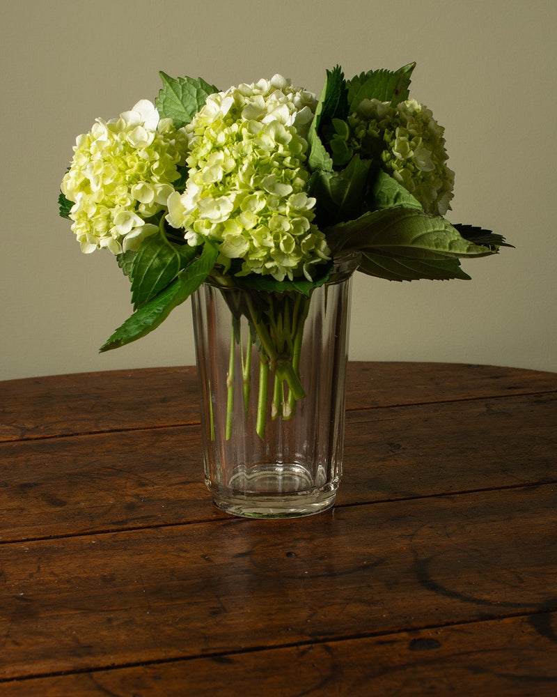 Vintage French Preserve Jar